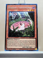 Yugioh! 1x Danger Tsuchinoko (RA04 - Prismatic Collectors Rare) 1st Edition