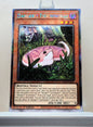 Yugioh! 1x Danger Tsuchinoko (RA04 - Platinum Secret Rare) 1st Edition