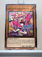 Yugioh! 1x Live☆Twin Ki-sikil (RA04 - Quarter Century Secret Rare) 1st Edition