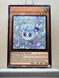 Yugioh! 1x Mulcharmy Fuwalos (RA04 - Prismatic Ultimate Rare) 1st Edition