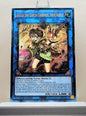 Yugioh! 1x Aussa the Earth Charmer, Immovable (RA04 - Prismatic Ultimate Rare) 1st Edition