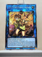 Yugioh! 1x Aussa the Earth Charmer, Immovable (RA04 - Quarter Century Secret Rare) 1st Edition