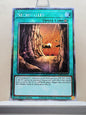 Yugioh! 1x Necrovalley (RA04 - Platinum Secret Rare) 1st Edition