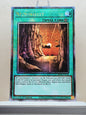 Yugioh! 1x Necrovalley (RA04 - Quarter Century Secret Rare) 1st Edition