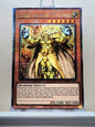 Yugioh! 1x Kuraz the Light Monarch (RA04 - Quarter Century Secret Rare) 1st Edition