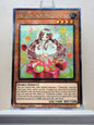 Yugioh! 1x Madolche Anjelly (RA04 - Quarter Century Secret Rare) 1st Edition