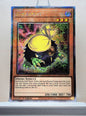 Yugioh! 1x Kuribandit (RA04 - Quarter Century Secret Rare) 1st Edition