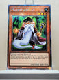 Yugioh! 1x Mathematician (RA04 - Platinum Secret Rare) 1st Edition