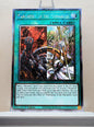 Yugioh! 1x Pantheism of the Monarchs (RA04 - Platinum Secret Rare) 1st Edition