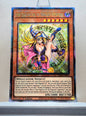 Yugioh! 1x Dark Magician Girl the Magician's Apprentice (ALIN - Quarter Century Secret Rare) 1st Edition