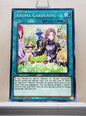 Yugioh! Chaos Impact Singles (CHIM - Common) 1st/Unli Edition