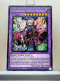 Yugioh! 1x Artmage Diactorus (DUAD - Secret Rare) 1st Edition