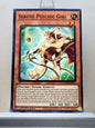 Yugioh! Duelist's Advance Singles (DUAD - Common) 1st Edition