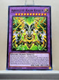 Yugioh! Duelist's Advance Singles (DUAD - Common) 1st Edition