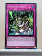 Yugioh! 1x Dracotail Horn (JUSH - Super Rare) 1st Edition