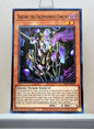 Yugioh! 2025 Mega Pack Tin Singles Set 1 (MP25 - Common) 1st Edition