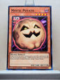 Yugioh! 2025 Mega Pack Tin Singles Set 1 (MP25 - Common) 1st Edition