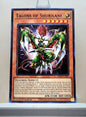 Yugioh! 2025 Mega Pack Tin Singles Set 1 (MP25 - Common) 1st Edition