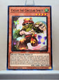Yugioh! 2025 Mega Pack Tin Singles Set 1 (MP25 - Common) 1st Edition