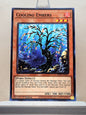 Yugioh! 2025 Mega Pack Tin Singles Set 1 (MP25 - Common) 1st Edition