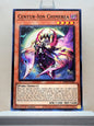 Yugioh! 2025 Mega Pack Tin Singles Set 1 (MP25 - Common) 1st Edition