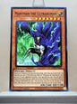 Yugioh! 2025 Mega Pack Tin Singles Set 1 (MP25 - Common) 1st Edition