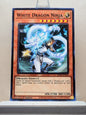 Yugioh! 2025 Mega Pack Tin Singles Set 1 (MP25 - Common) 1st Edition