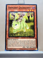 Yugioh! 2025 Mega Pack Tin Singles Set 1 (MP25 - Common) 1st Edition