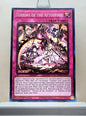 Yugioh! 2025 Mega Pack Tin Singles Set 2 (MP25 - Common) 1st Edition