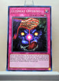 Yugioh! 2025 Mega Pack Tin Singles Set 2 (MP25 - Common) 1st Edition