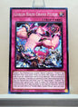 Yugioh! 2025 Mega Pack Tin Singles Set 2 (MP25 - Common) 1st Edition