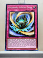 Yugioh! 2025 Mega Pack Tin Singles Set 2 (MP25 - Common) 1st Edition