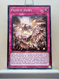 Yugioh! 2025 Mega Pack Tin Singles Set 2 (MP25 - Common) 1st Edition