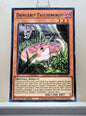 Yugioh! Structure Deck: Dark World Singles (SR13 - Common) 1st Edition