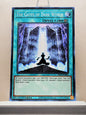 Yugioh! Structure Deck: Dark World Singles (SR13 - Common) 1st Edition
