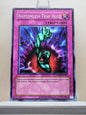 Yugioh! Retro Pack 2 Singles (RP02 - Common) Unli Edition