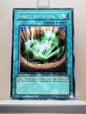 Yugioh! Retro Pack 2 Singles (RP02 - Common) Unli Edition
