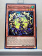 Yugioh! 1x Radiant Typhoon Meghala (DOOD - Super Rare) 1st Edition