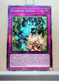 Yugioh! 1x Dominus Spiral (DOOD - Starlight Rare) 1st Edition