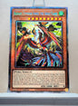 Yugioh! 1x Radiant Typhoon Fonix, the Great Flame (DOOD - Starlight Rare) 1st Edition