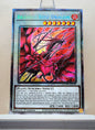 Yugioh! 1x Bramble Rose Dragon (DOOD - Starlight Rare) 1st Edition