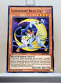 Yugioh! Legendary Duelists: Sisters of the Rose Singles (LED4 - Common) 1st Edition