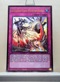 Yugioh! 1x Dogmatika Punishment (CH01 - Ultra Rare) 1st Edition