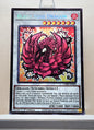 Yugioh! 1x Black Rose Dragon Chibi Artwork (L5DD - Secret Rare) 1st Edition