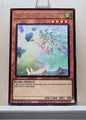 Yugioh! Phantom Revenge Singles (PHRE - Rare) 1st Edition