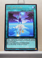 Yugioh! Phantom Revenge Singles (PHRE - Rare) 1st Edition