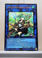 Yugioh! 1x Wynn the Wind Charmer, Verdant (CH02 - Ultra Rare) 1st Edition