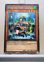 Yugioh! 1x Wynn the Wind Charmer (CH02 - Starlight Rare) 1st Edition