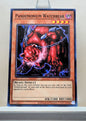 Yugioh! Dark Crisis 25th Anniversary Singles (DCR - Common) Unli Edition