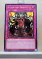 Yugioh! Dark Crisis 25th Anniversary Singles (DCR - Common) Unli Edition
